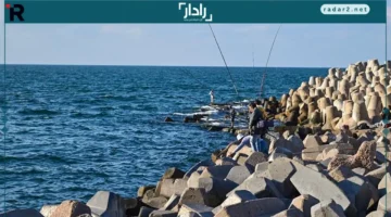انحسار الأمطار.. أجواء مستقرة في الإسكندرية مع استمرار خطر الشبورة واضطراب الملاحة صباحًا